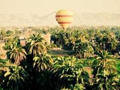 Scientists discover hormone that may stop chronic back pain at its source