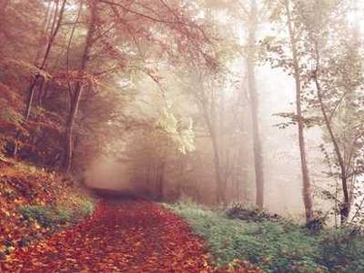 8 Sports Books by Women, Trans, and Nonbinary Authors