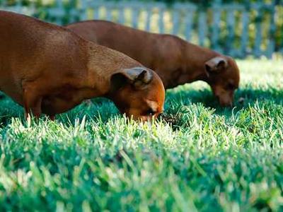 9 Novels About Women in the Wild