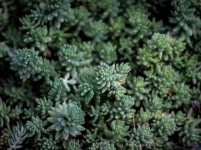 Media Authenticity Methods in Practice: Capabilities, Limitations, and Directions