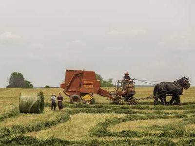 Scientists find immune cell linked to long COVID fatigue and symptoms