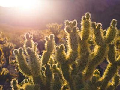 A surprising new idea about how the Big Bang may have happened