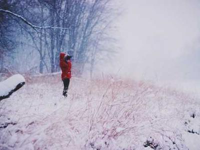 The Renaissance of the Trans Magazine