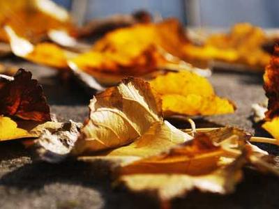 Media Authenticity Methods in Practice: Capabilities, Limitations, and Directions