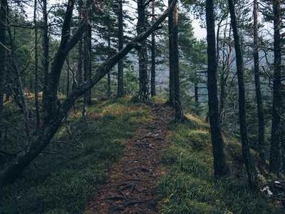 Instructions for Repairing a Robot Black Boy