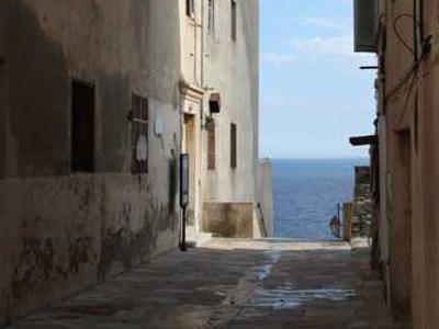 PlugMem: Transforming raw agent interactions into reusable knowledge