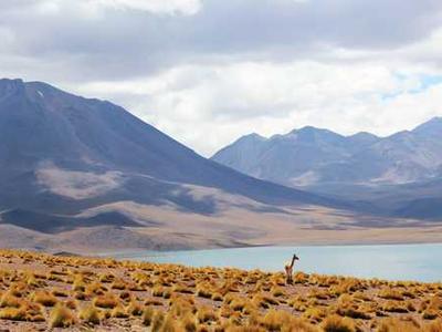 April 7 is National Black Bookstore Day