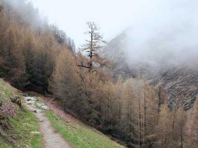 This floating time crystal breaks Newton’s third law of motion