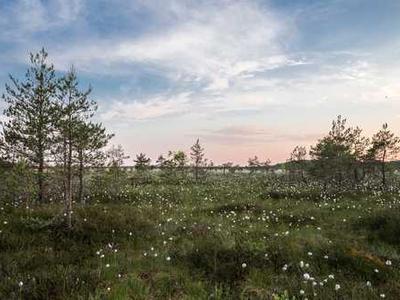 Instructions for Repairing a Robot Black Boy