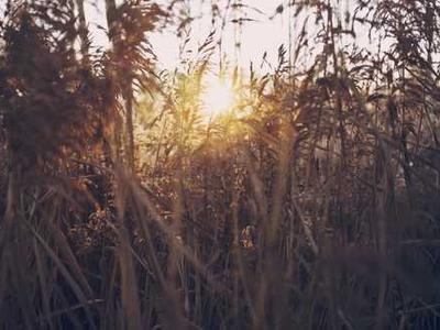 PlugMem: Transforming raw agent interactions into reusable knowledge