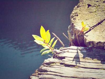 Scientists discover why cancer drugs don’t work for everyone