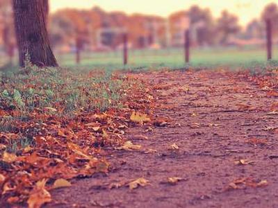 Scientists open a million-year-old time capsule beneath New Zealand