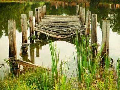 A Poetry Collection Where Play Collapses the Limits of Language