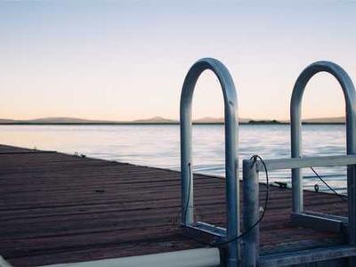 Scientists found a bug that generates its own heat in freezing cold