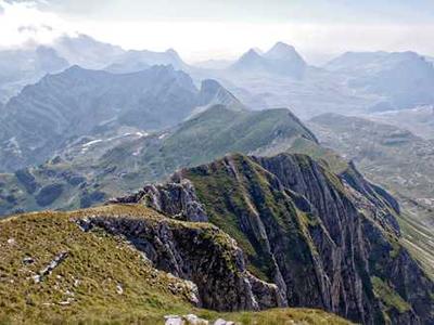 Scientists discover sleep switch that builds muscle, burns fat, and boosts brainpower