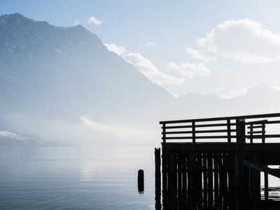 I May Be a Snake But I’ll Never Become Your Purse