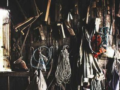 Scientists open a million-year-old time capsule beneath New Zealand