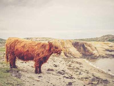 My Undiagnosed Chronic Illness Taught Me to Love Sci-Fi