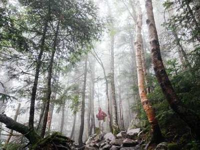 Scientists discover Alzheimer’s hidden “death switch” in the brain