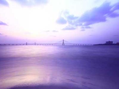 Ocean species are disappearing before scientists can even find them