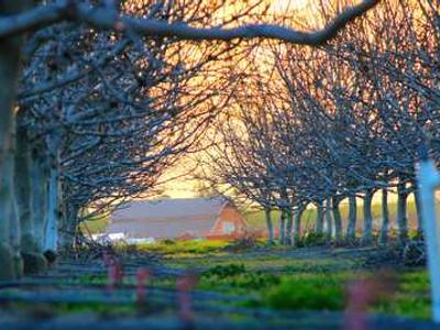 Scientists stretched a liquid and it snapped like a solid