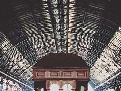 24 new deep-sea species found including a rare new branch of life