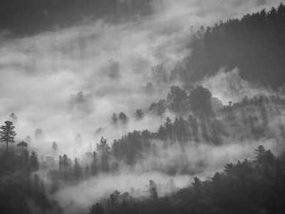 Both/And Is a Finalist for a Lambda Literary Award!